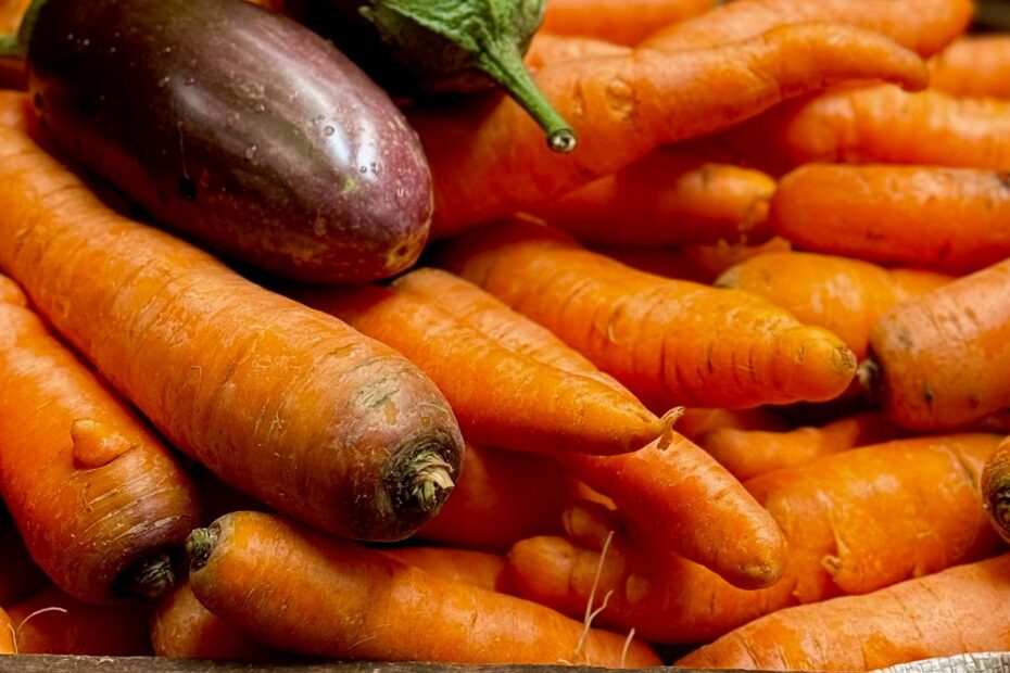 Carottes et aubergines fraîches dans une cagette en bois chez un producteur
